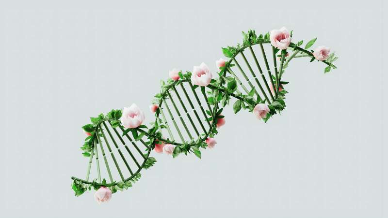 Bioenergy Production: Harnessing Microalgae for Biofuels