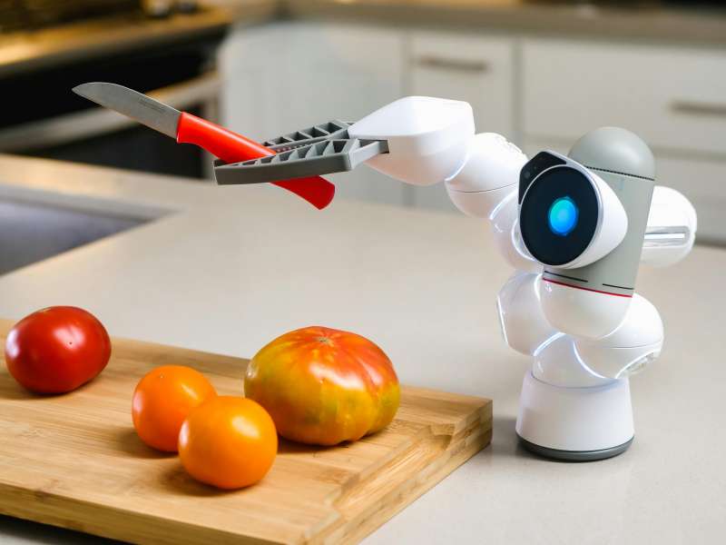 Humanoid Robots: New Opportunities for Automation