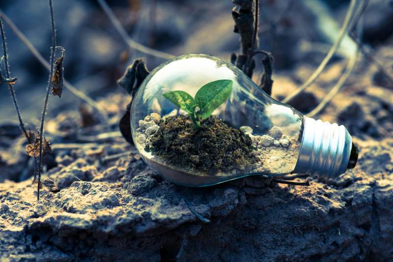Renewable Energy: Advances in Solar and Wind Technologies