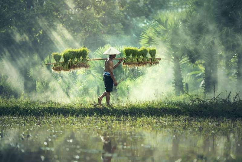 Sustainable Agriculture: Technologies for Environmental Protection