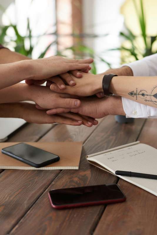 Project Management in a Digital Environment: Tools and Practices